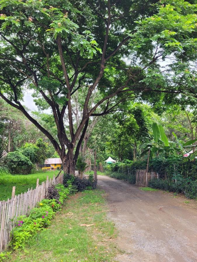 فيلا Brookhouse At Khaoyai Ban Khanong Phra Klang المظهر الخارجي الصورة