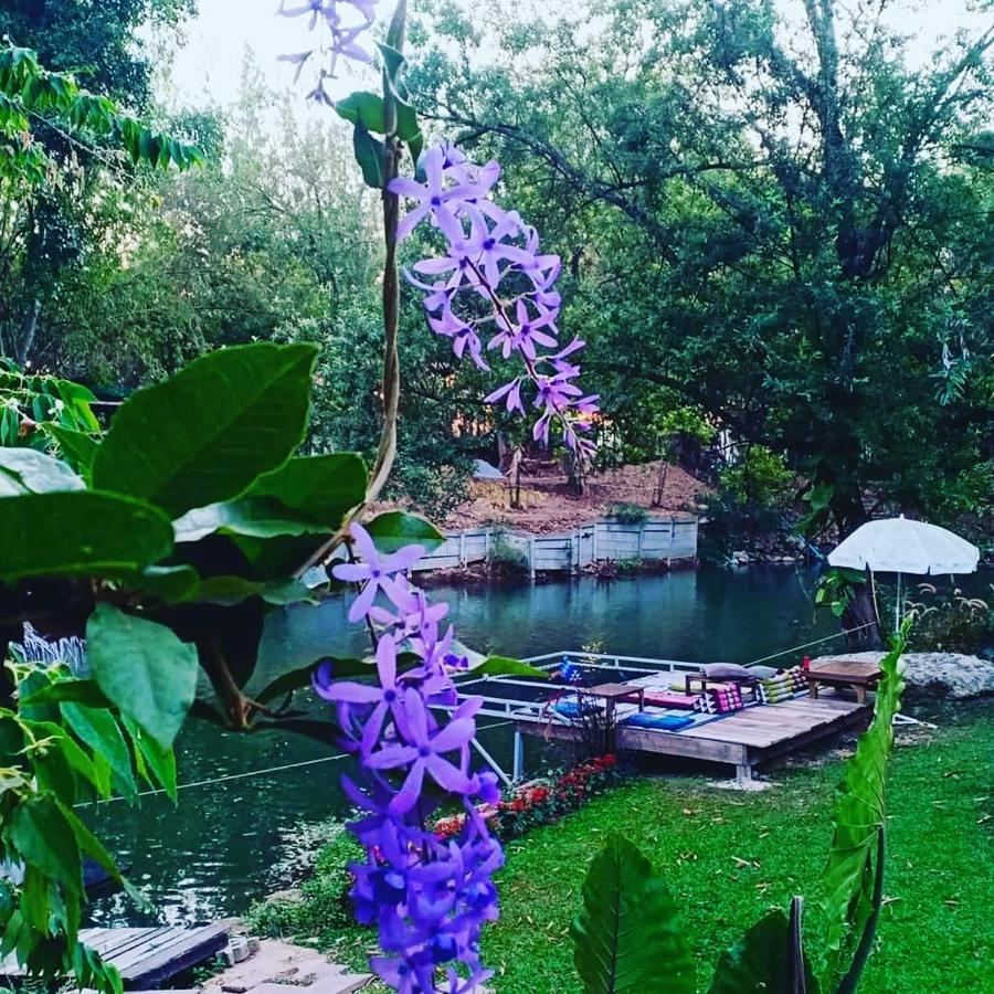 فيلا Brookhouse At Khaoyai Ban Khanong Phra Klang المظهر الخارجي الصورة